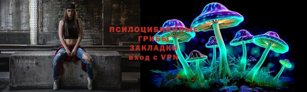 ПСИЛОЦИБИНОВЫЕ ГРИБЫ Алексин
