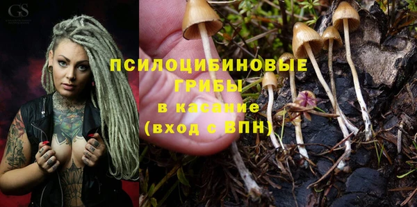 эйфоретик Алзамай