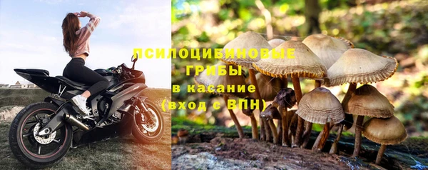 ешки Алексеевка