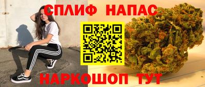 спайс Гусев