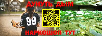 гашик Гусь-Хрустальный