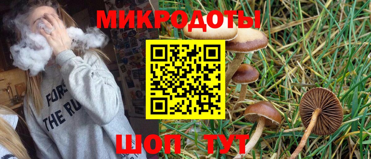 Мирный  Псилоцибиновые грибы Cubensis  Вход с VPN 